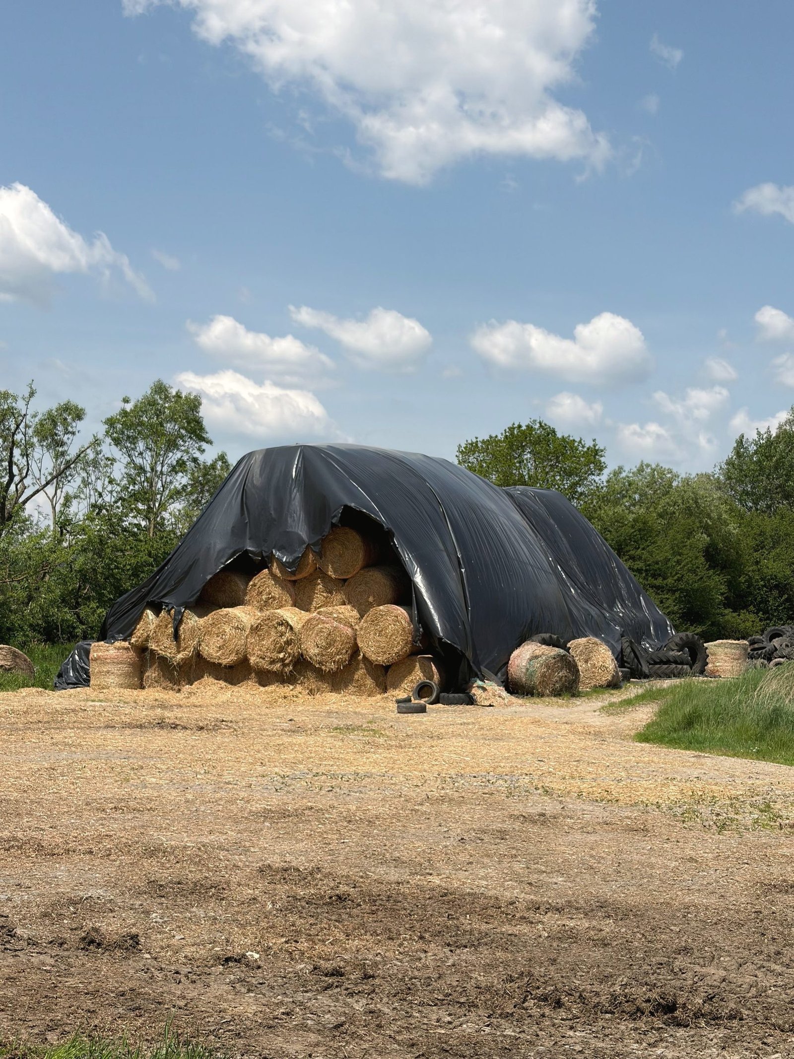 A large dark tarpaulin pulled over a long stack of round bales.